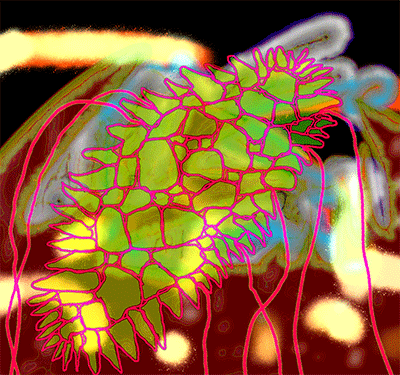 'MUC161117-01' digital painting, 7500x8000px, 2017